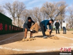 2019年，游客在甘肃临夏妥家村体验“装洋芋”农耕项目。(资料图) 艾庆龙 摄 - 甘肃新闻