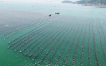 福建连江出台措施促进鲍鱼产业转型升级 - 中国甘肃网