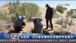 【短视频】马全林：为沙漠治理和生态保护开出良方 - 甘肃省广播电影电视