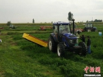 图为武威市境内农业机械化作业场景。　武威市委宣传部供图 摄 - 甘肃新闻