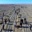 　　金塔县地处巴丹吉林沙漠和库姆塔格沙漠之间，植被脆弱、风大沙多，为谋求生存和发展，该县重视生态治理和防沙治沙。(资料图) 金塔县委宣传部供图 - 甘肃新闻