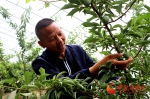 甘肃民勤：生态高地深耕绿色发展 - 中国甘肃网