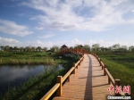 图为5月中旬，甘肃酒泉市肃州区建成的六分西湖湿地景区。　冯志军 摄 - 甘肃新闻