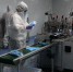 图为入驻西部药谷的医疗器械公司工人加紧生产口罩。(资料图) 杜萍 摄 - 甘肃新闻