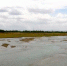 图为瓜州境内清理干净的湖面。　王晓罄 摄 - 甘肃新闻