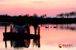 张掖国家湿地公园：落日鎏金醉游人（组图） - 中国甘肃网