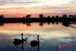 张掖国家湿地公园：落日鎏金醉游人（组图） - 中国甘肃网