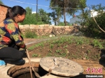 图为元古堆村村民用自来水管道给自家菜园浇水。　张婧 摄 - 甘肃新闻