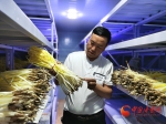 甘肃民勤：以科技创新引领智慧农业 - 中国甘肃网