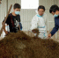 环县邀请的专家与庆阳伟赫乳业毛井奶山羊养殖基地工作人员交流饲料配制。　陈飞 摄 - 甘肃新闻