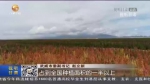 【短视频】武威：加快农业产业转型升级 全力夯实乡村振兴基础 - 甘肃省广播电影电视