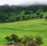 【小陇画报·96期】关山古道：美丽的草原 在千年时光里等你 - 中国甘肃网