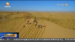 【短视频】电影故事片《八步沙》在古浪开拍 - 甘肃省广播电影电视