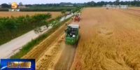 【短视频】甘肃省强化措施确保夏季粮油收购工作 - 甘肃省广播电影电视