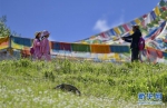 （美丽中国）（1）西藏林芝：避暑天堂惹人醉 - 人民网
