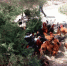 图为瓜州县锁阳城镇农丰村农户散养鸡。(资料图) 杜莹杰 摄 - 甘肃新闻