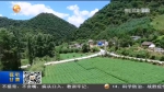【短视频】徽县：产业发展开通农民增收的“绿色银行” - 甘肃省广播电影电视