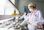 7月下旬，夏河县人民医院医生进行手术用具的消毒清洁。　高展 摄 - 甘肃新闻