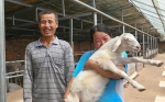 两个老羊倌的脱贫“擂台戏” - 中国甘肃网