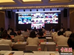 　7月31日下午，2020年甘肃省特色农产品集中上市季线上线下产销对接活动举办。　刘薛梅 摄 - 甘肃新闻