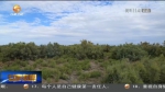 【短视频】甘肃：生态优先 绿色发展 造福群众美好生活 - 甘肃省广播电影电视