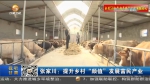 【短视频】张家川：提升乡村“颜值”发展富民产业 - 甘肃省广播电影电视