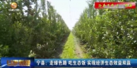 【短视频】宁县：走绿色路 吃生态饭 实现经济生态效益双赢 - 甘肃省广播电影电视