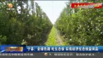 【短视频】宁县：走绿色路 吃生态饭 实现经济生态效益双赢 - 甘肃省广播电影电视