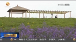 【短视频】兰州新区：“以花为媒”绘制生态旅游美丽画卷 - 甘肃省广播电影电视