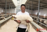 【你笑起来真好看】从帮人养羊到带贫致富——羊倌马大五德“变身记”（图） - 中国甘肃网