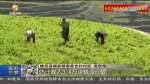 【短视频】陇西：特色产业拓宽农民致富路 - 甘肃省广播电影电视