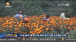【短视频】成县：暴洪泥石流致8万人受灾 正在全力救灾 - 甘肃省广播电影电视