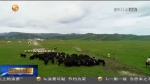 【短视频】甘南：让美丽乡村成为文化旅游的最大载体 - 甘肃省广播电影电视