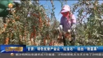 【短视频】甘肃：特色优势产业让“红宝石” 结出“致富果” - 甘肃省广播电影电视