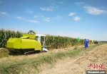 图为饲草收获装备在田间作业。(资料图)受访人供图 - 甘肃新闻