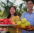 图为张荣和妻子展示丰收的苹果。　刘玉桃 摄 - 甘肃新闻