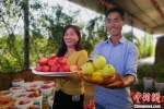 图为张荣和妻子展示丰收的苹果。　刘玉桃 摄 - 甘肃新闻