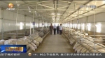 【短视频】中国化学工程集团：输造并举拔穷根 鱼渔同授拓富路 - 甘肃省广播电影电视