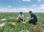 第二届甘肃省农业科技成果推介会将于9月22日在兰州开幕 - 中国甘肃网