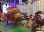 图为2019年中国·定西马铃薯大会现场的马铃薯美食展示。(资料图) 张婧 摄 - 甘肃新闻