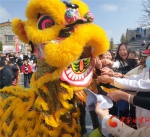 兰州新区中川园区庆祝2020年“中国农民丰收节” - 中国甘肃网