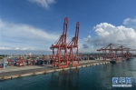 （图文互动）（1）海南自贸港开通首条洲际集装箱航线 - 人民网