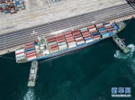 （图文互动）（7）海南自贸港开通首条洲际集装箱航线 - 人民网
