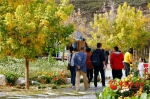 国庆中秋假期首日： 兰州榆中旅游收入1224万元 - 中国甘肃网