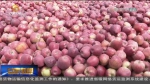 【短视频】永靖：苹果产业富农家 - 甘肃省广播电影电视