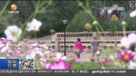【短视频】兰州：文明新风吹遍城市窗口 - 甘肃省广播电影电视