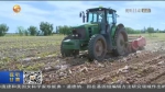 【短视频】提质量 增效益 甘肃省马铃薯产业稳步提升发展水平 - 甘肃省广播电影电视