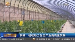 【短视频】张掖：税收助力生态产业高质量发展 - 甘肃省广播电影电视