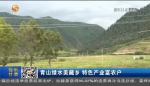 【短视频】青山绿水美藏乡 特色产业富农户 - 甘肃省广播电影电视