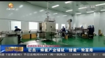 【短视频】宕昌：蜂蜜产业铺就“甜蜜”致富路 - 甘肃省广播电影电视